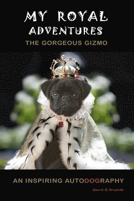 bokomslag My Royal Adventures: An Inspiring Autodography from The Gorgeous Gizmo