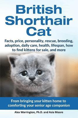 bokomslag British Shorthair Cat