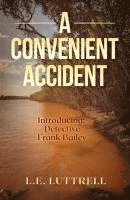 A Convenient Accident 1