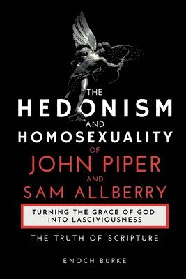 bokomslag Hedonism and Homosexuality of John Piper and Sam Allberry