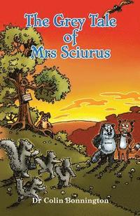 bokomslag The Grey Tale of Mrs Sciurus