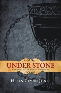 bokomslag Under Stone