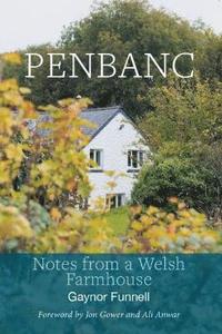 bokomslag Penbanc - Notes from a Welsh Farmhouse