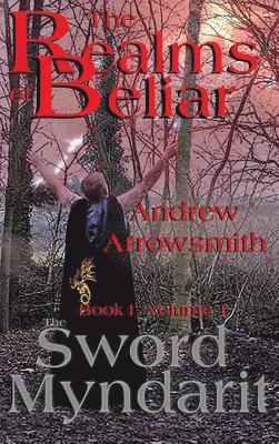 Andrew Arrowsmith - Sword Myndarit, Inbunden