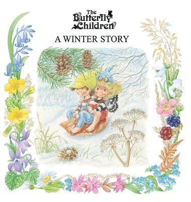bokomslag Winter Story