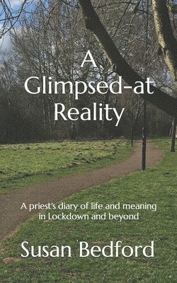 A Glimpsed-at Reality 1