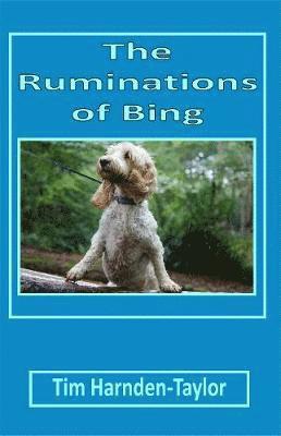 Ruminations of Bing