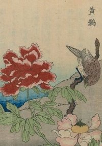bokomslag Carnet Blanc, Oiseaux Étrangers