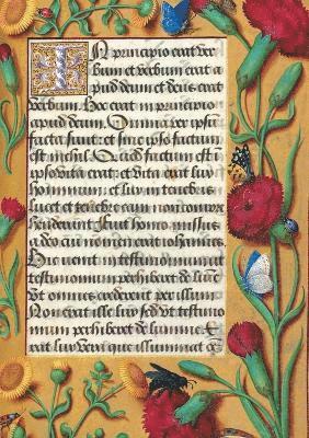 Sans Auteur - Carnet Blanc, Heures Anne de Bretagne, Oeillets, Häftad