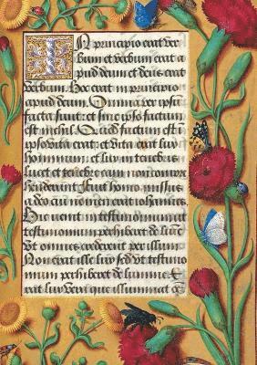 Carnet Blanc, Heures Anne de Bretagne, Oeillets 1