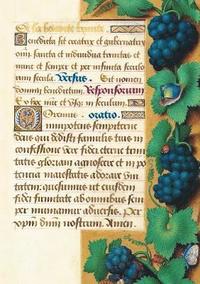 bokomslag Carnet Blanc, Heures Anne de Bretagne, Raisin