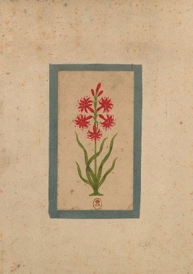 Carnet Blanc, Fleur 1, Miniature Indienne 18e Siècle