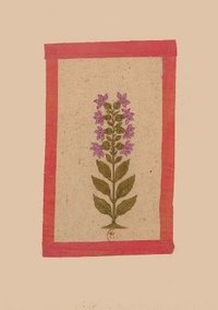 bokomslag Carnet Blanc, Fleur 2, Miniature Indienne 18e Siècle