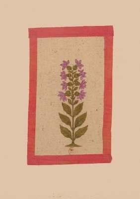 bokomslag Carnet Blanc, Fleur 2, Miniature Indienne 18e Sicle