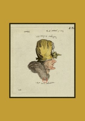 bokomslag Carnet Blanc: Voltiger de Louis XIV / Mme de la Jobardière
