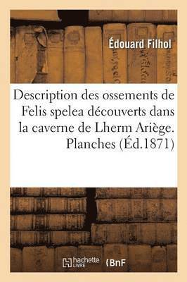 Description Des Ossements de Felis Spelea Dcouverts Dans La Caverne de Lherm Arige. Planches 1