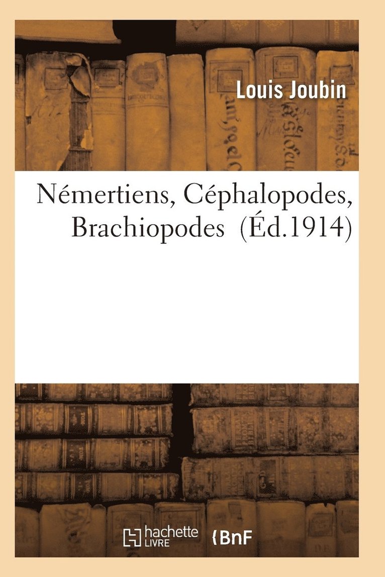 Nmertiens, Cphalopodes, Brachiopodes 1