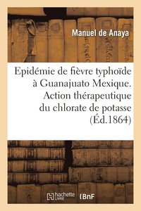 bokomslag Fièvre Typhoïde Observée À Guanajuato Mexique. Action Thérapeutique Chlorate de Potasse Dans Maladie