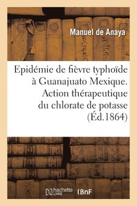 bokomslag Fievre Typhoide Observee A Guanajuato Mexique. Action Therapeutique Chlorate de Potasse Dans Maladie