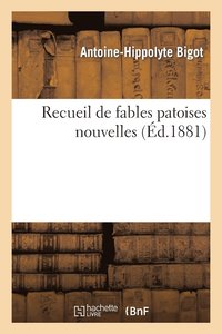 bokomslag Recueil de Fables Patoises Nouvelles