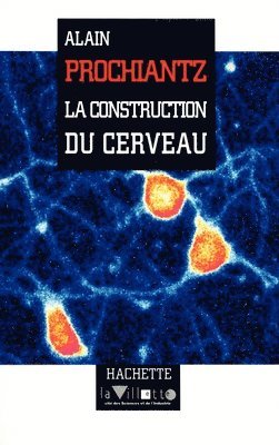 bokomslag La constuction du cerveau