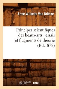 bokomslag Principes Scientifiques Des Beaux-Arts: Essais Et Fragments de Thorie (d.1878)