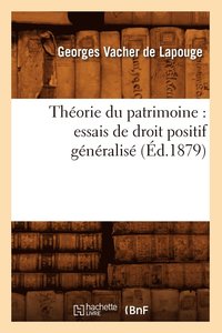 bokomslag Thorie Du Patrimoine: Essais de Droit Positif Gnralis (d.1879)