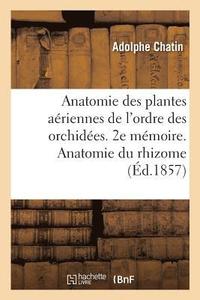 bokomslag Anatomie Des Plantes Ariennes de l'Ordre Des Orchides. 2e Mmoire. Anatomie Du Rhizome,