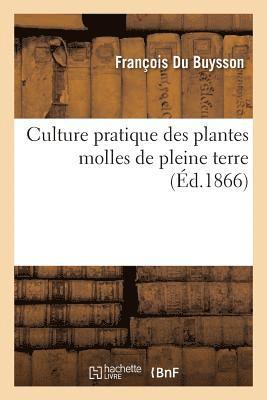 bokomslag Culture Pratique Des Plantes Molles de Pleine Terre