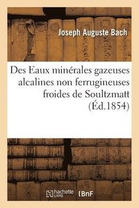 bokomslag Des Eaux Minrales Gazeuses Alcalines Non Ferrugineuses Froides de Soultzmatt