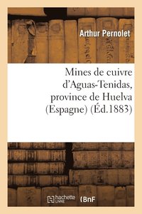 bokomslag Mines de Cuivre d'Aguas-Tenidas, Province de Huelva (Espagne): Rapport Adress