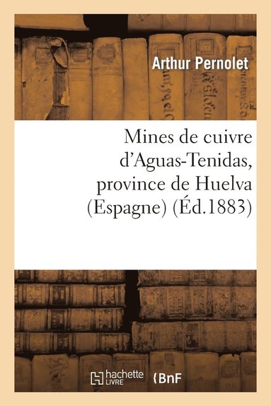 bokomslag Mines de Cuivre d'Aguas-Tenidas, Province de Huelva (Espagne): Rapport Adressé