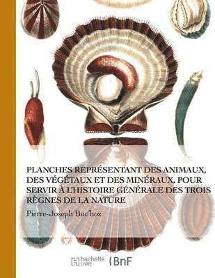 Premiere (Seconde) Centurie de Planches Enluminees