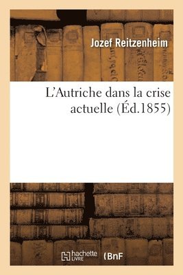 bokomslag L'Autriche Dans La Crise Actuelle