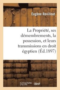 bokomslag La Proprit, Ses Dmembrements, La Possession, Et Leurs Transmissions En Droit gyptien