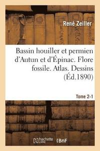 bokomslag Bassin Houiller Et Permien d'Autun Et d'pinac. Flore Fossile Atlas Tome 2-1
