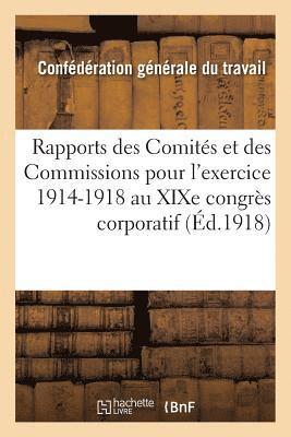 Rapports Des Comites Et Des Commissions Pour l'Exercice 1914-1918: Presentes Au Xixe 1