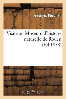 bokomslag Visite Au Musum d'Histoire Naturelle de Rouen