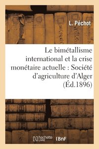 bokomslag Le Bimetallisme International Et La Crise Monetaire Actuelle