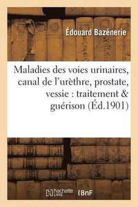 bokomslag Maladies Des Voies Urinaires, Canal de l'Urethre, Prostate, Vessie: Traitement & Guerison 2e Ed