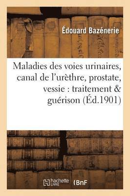 bokomslag Maladies Des Voies Urinaires, Canal de l'Urèthre, Prostate, Vessie: Traitement & Guérison 2e Éd