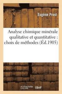 bokomslag Analyse Chimique Minérale Qualitative Et Quantitative: Choix de Méthodes
