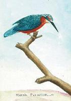 Carnet Ligné Martin Pêcheur, Dessin 18e Siècle