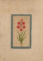 bokomslag Carnet Ligné Fleur 1, Miniature Indienne 18e Siècle