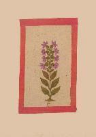 bokomslag Carnet Ligné Fleur 2, Miniature Indienne 18e Siècle