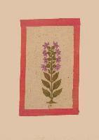 bokomslag Carnet Ligné Fleur 2, Miniature Indienne 18e Siècle