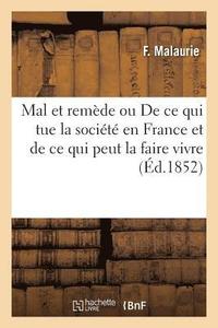 bokomslag Mal Et Remède Ou de Ce Qui Tue La Société En France Et de Ce Qui Peut La Faire Vivre