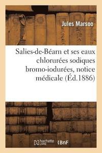 bokomslag Salies-De-Barn Et Ses Eaux Chlorures Sodiques Bromo-Iodures, Notice Mdicale