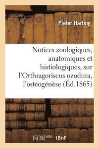 bokomslag Notices Zoologiques, Anatomiques Et Histiologiques, Sur l'Orthragoriscus Ozodura, Suivies