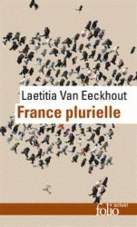 bokomslag France plurielle